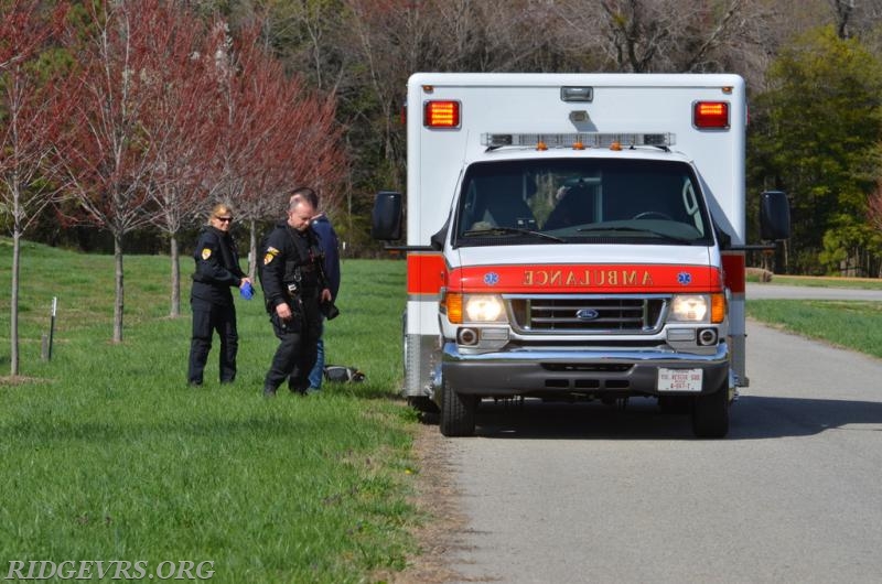 Ambulance 497